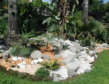 Angolo di giardino roccioso