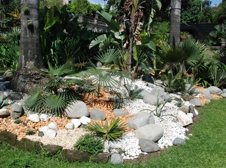 Angolo di giardino roccioso
