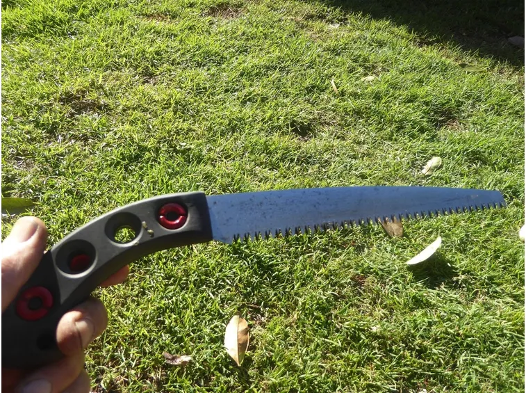 Esempio di sega manuale