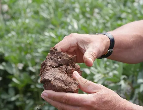 Terreno in cui è presente l'argilla