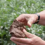 Terreno in cui è presente l'argilla