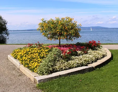 Aiuola di fiori