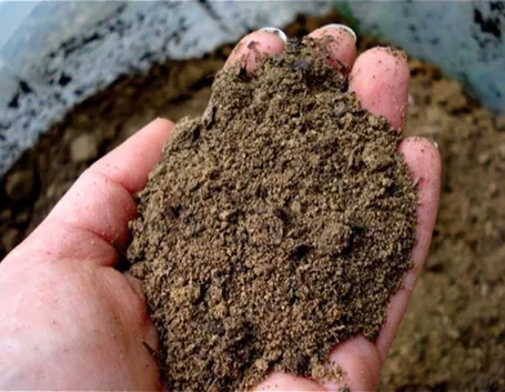 Terreno sabbioso caratteristiche