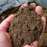 Terreno sabbioso caratteristiche