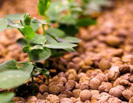 Cava e produzione di argilla espansa