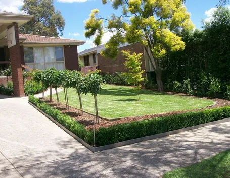 Vialetto giardino con piante
