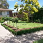 Vialetto giardino con piante