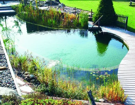 Piscina fuori terra