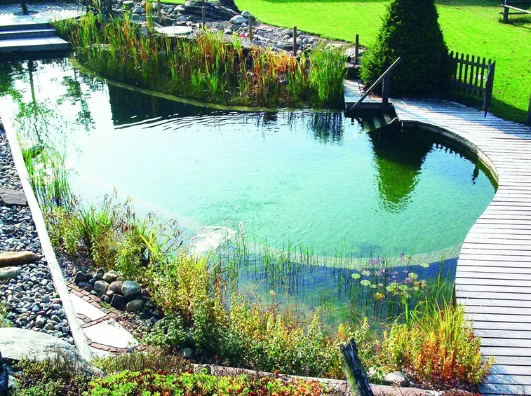 Piscina fuori terra