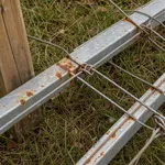 Perché la ruggine compare dopo le piogge autunnali e cosa controllare
