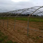 Modello di arco zincato per serre