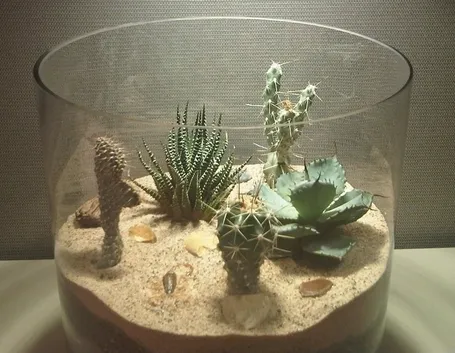 Balcone terrario