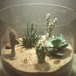 Balcone terrario