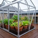 Cosa può dare davvero una serra da balcone non riscaldata in inverno