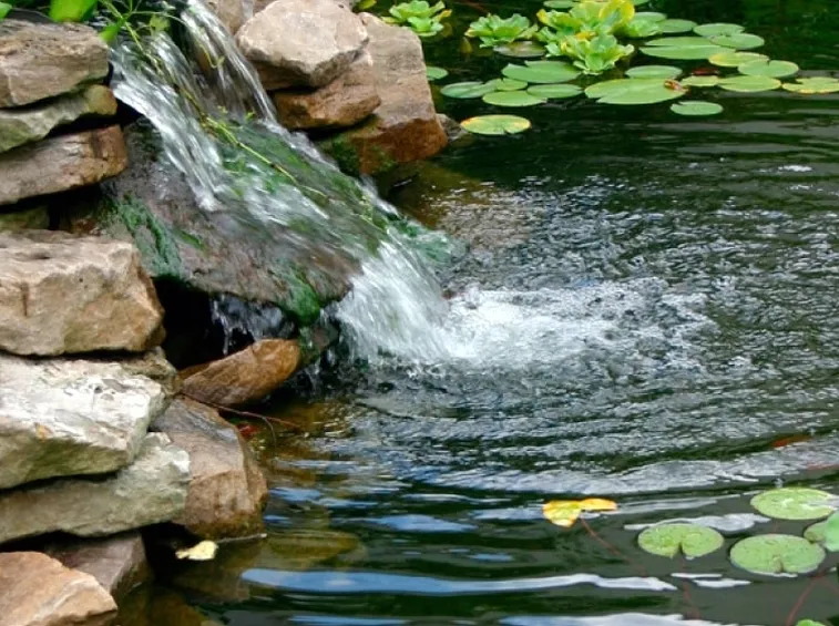 Laghetto giardini