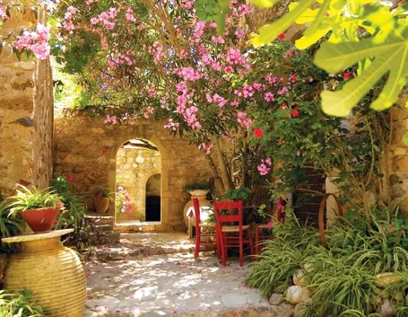 Angolo giardino mediterraneo