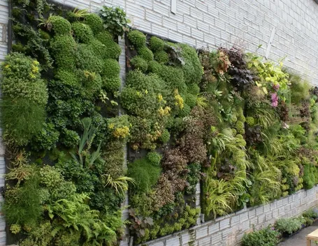 Giardino verticale all'aperto