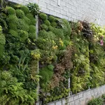 Giardino verticale all'aperto