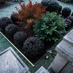 Partire in autunno: punti di vista e ossatura del giardino d'inverno