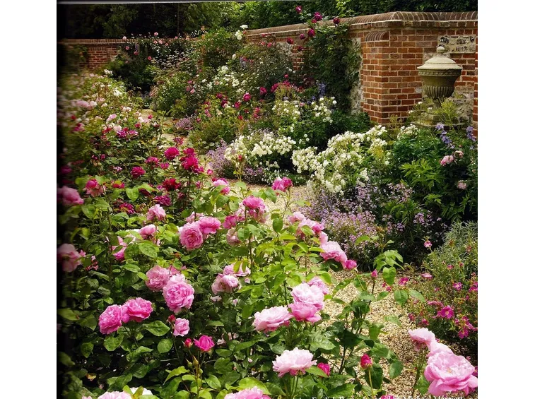 Tipico giardino inglese di rose