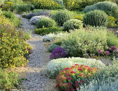 Esempio di giardino secco