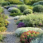 Esempio di giardino secco