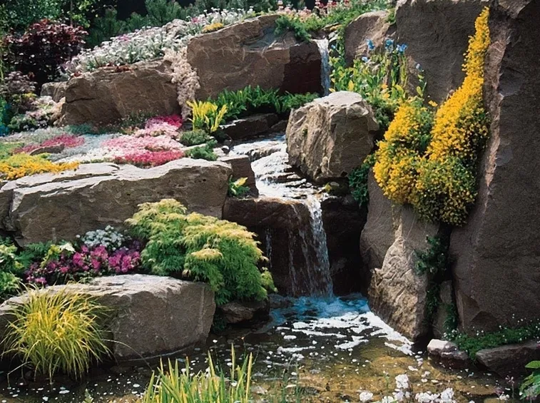 Originale giardino roccioso