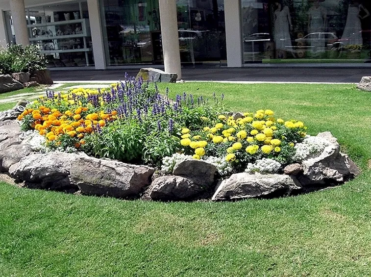 Giardino roccioso con fiori