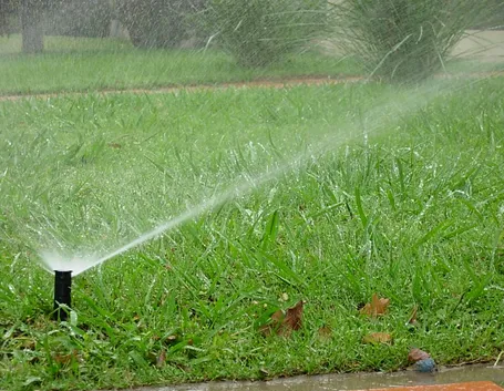 Esempio di irrigazione a pioggia