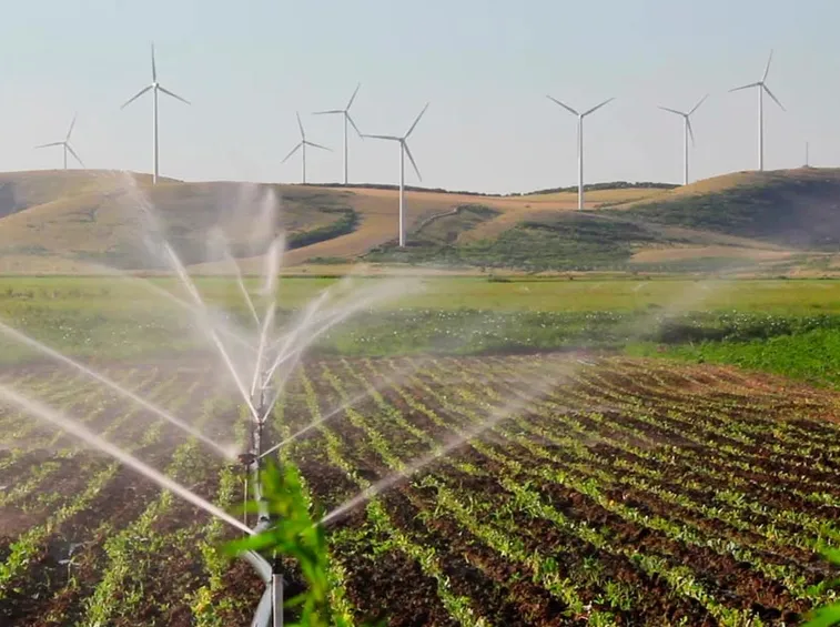 Particolare di impianto d'irrigazione