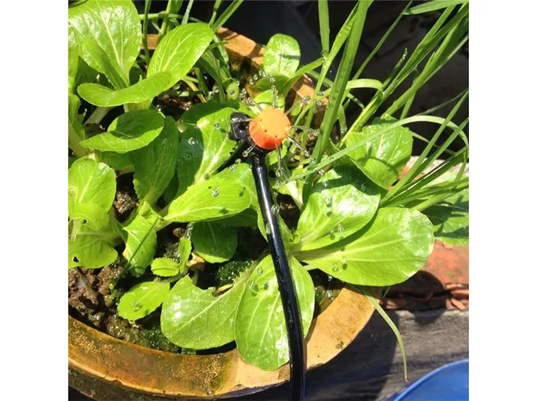 Microirrigatore in azione