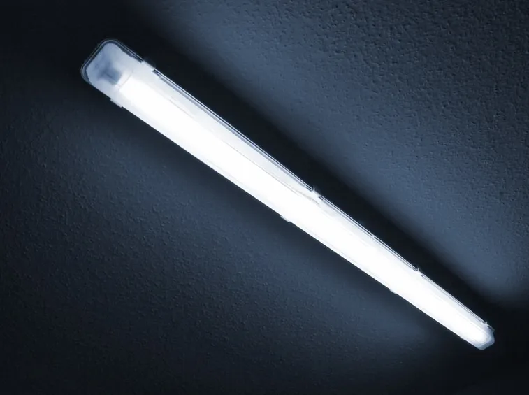 lampada con luce al neon