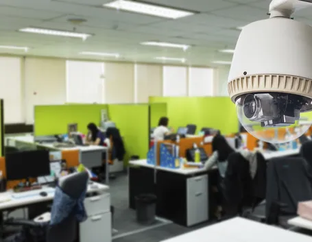 Una tipologia di videocamere per interni