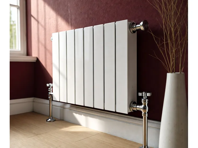 Termosifone bianco