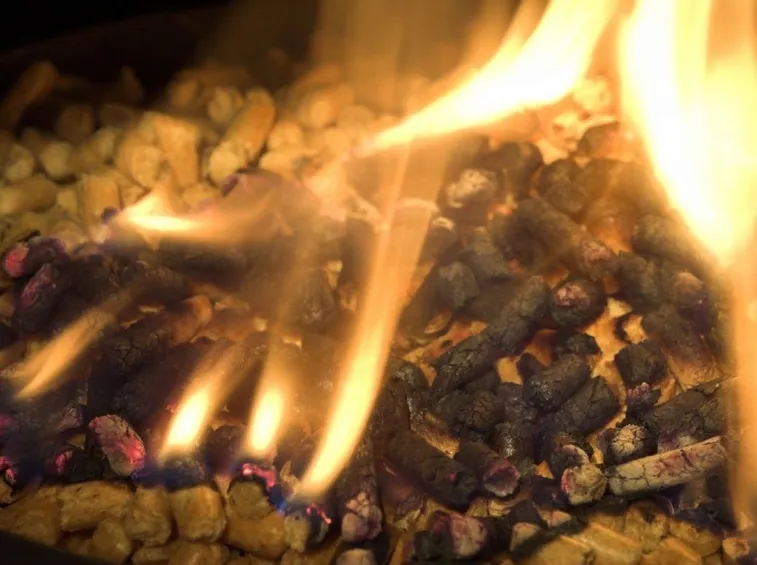 Pellet in combustione