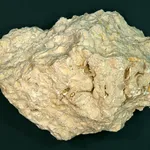 Roccia calcarea