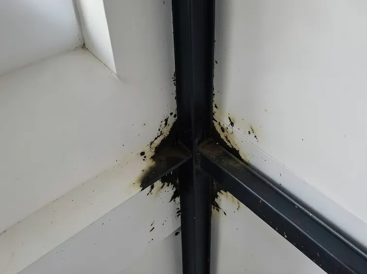 Effetti di un ponte termico