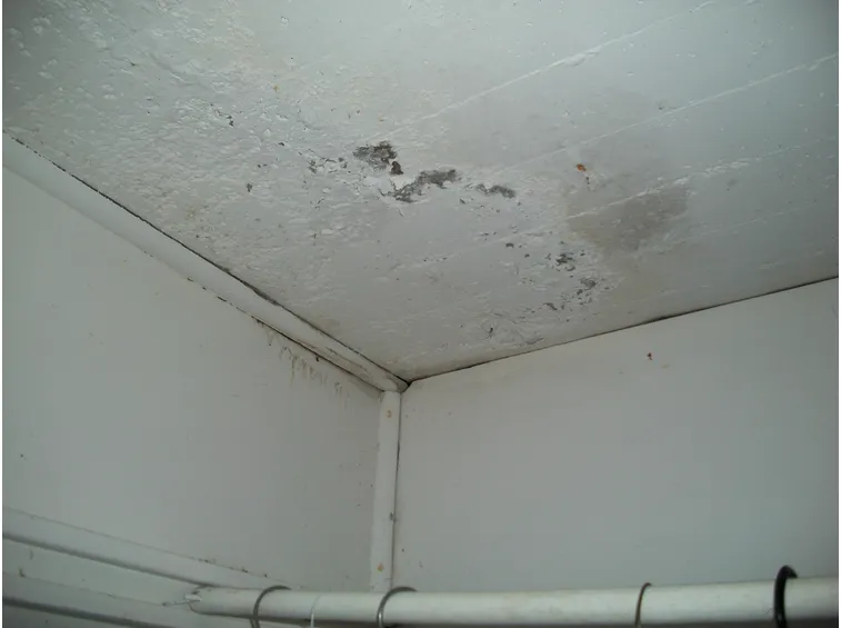 Sfondellamento soffitto