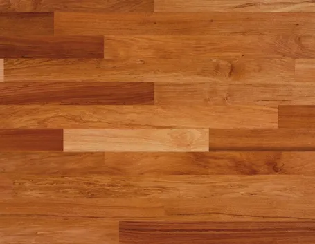 Una tipologia di parquet da interno