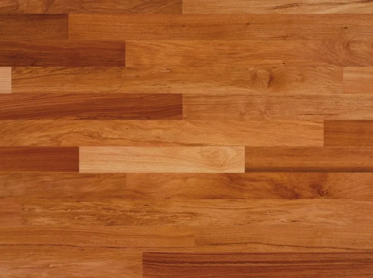 Una tipologia di parquet da interno