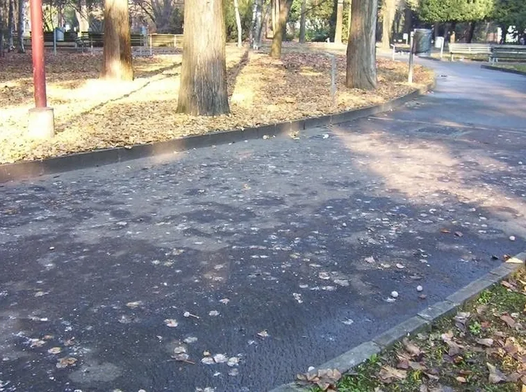 Vialetto in asfalto