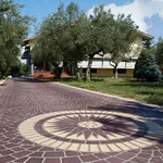 Esempio di pavimento esterno carrabile
