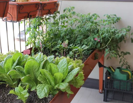 orto sul balcone