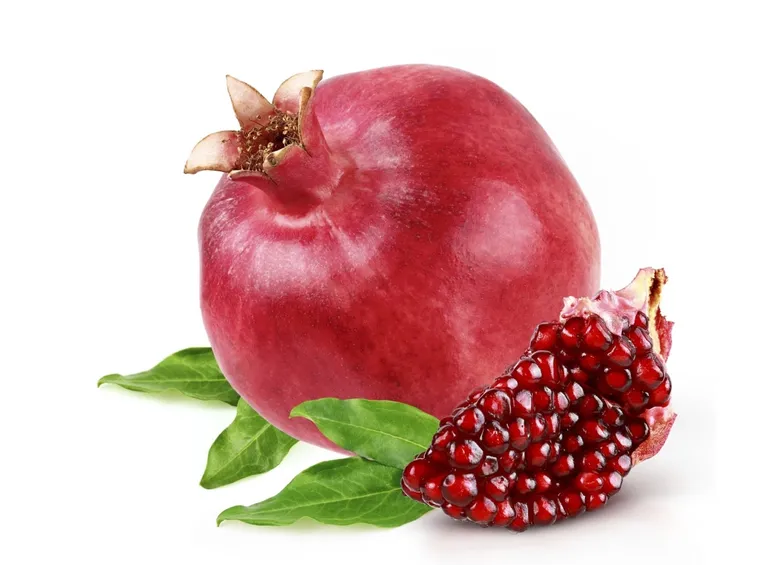 Esempio di frutto di melograno
