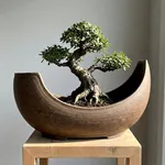 Vaso per bonsai originale