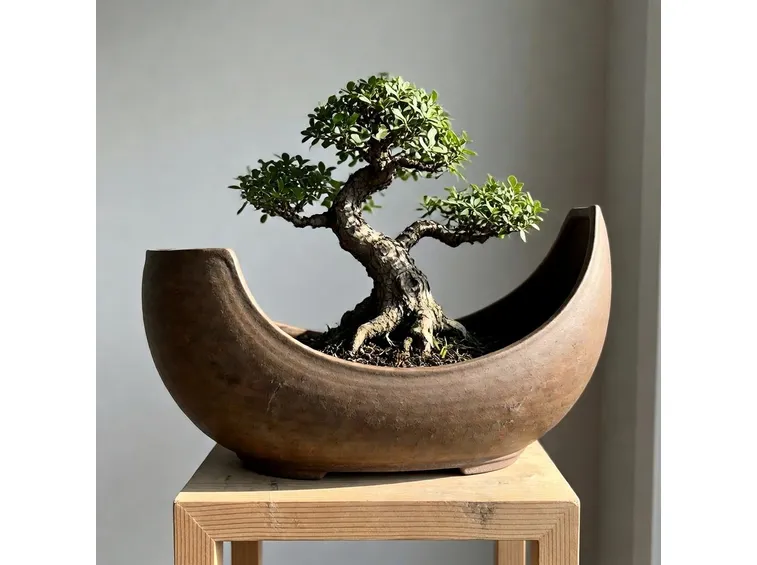 Vaso per bonsai originale