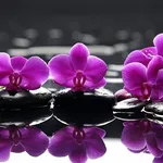 Orchidee acqua