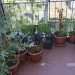 Orto sul balcone