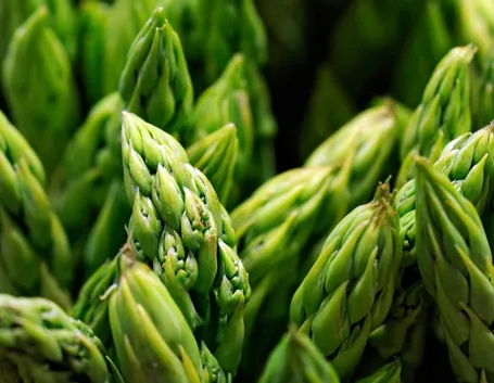 Asparagi coltivati a terra