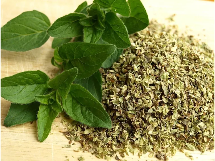Piante aromatiche proprietà
